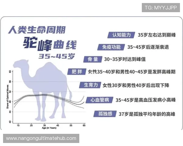 体育动作背后的科学密码：技术细节解析与实战应用探索